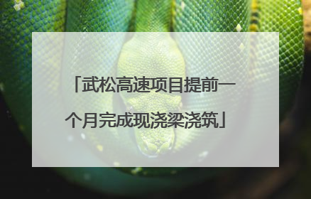 武松高速项目提前一个月完成现浇梁浇筑