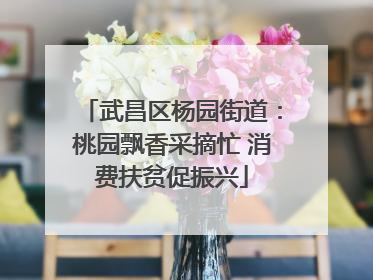武昌区杨园街道：桃园飘香采摘忙 消费扶贫促振兴
