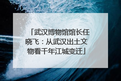 武汉博物馆馆长任晓飞：从武汉出土文物看千年江城变迁