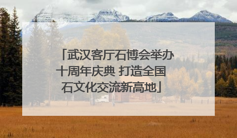 武汉客厅石博会举办十周年庆典 打造全国石文化交流新高地