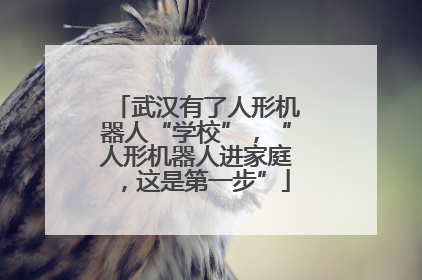武汉有了人形机器人“学校”，“人形机器人进家庭，这是第一步”