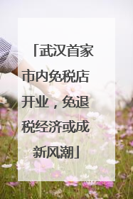 武汉首家市内免税店开业，免退税经济或成新风潮