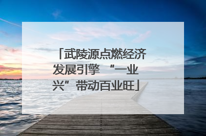 武陵源点燃经济发展引擎 “一业兴”带动百业旺