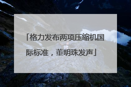 格力发布两项压缩机国际标准，董明珠发声
