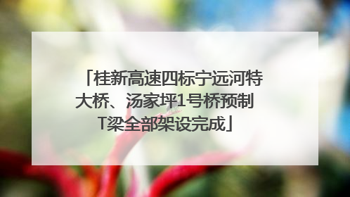 桂新高速四标宁远河特大桥、汤家坪1号桥预制T梁全部架设完成