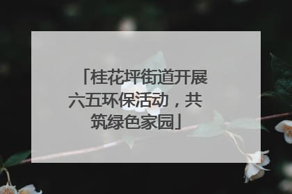 桂花坪街道开展六五环保活动，共筑绿色家园