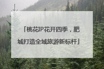 桃花IP花开四季，肥城打造全域旅游新标杆