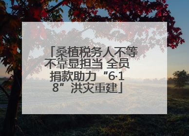 桑植税务人不等不靠显担当 全员捐款助力“6·18”洪灾重建