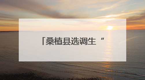 桑植县选调生“湘”村微党课宣讲活动走进沙塔坪乡沙塔坪村