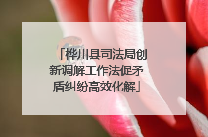 桦川县司法局创新调解工作法促矛盾纠纷高效化解