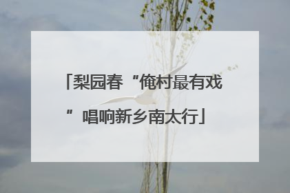 梨园春“俺村最有戏”唱响新乡南太行