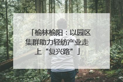 榆林榆阳：以园区集群助力轻纺产业走上“复兴路”