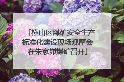 横山区煤矿安全生产标准化建设现场观摩会在朱家峁煤矿召开