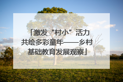 激发“村小”活力 共绘多彩童年——乡村基础教育发展观察