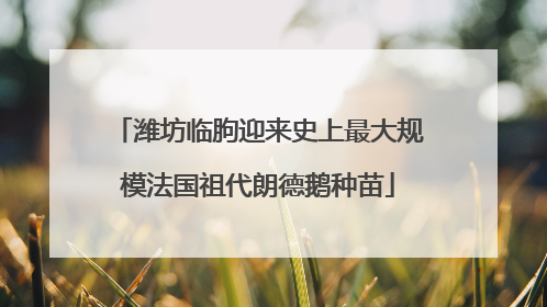 潍坊临朐迎来史上最大规模法国祖代朗德鹅种苗