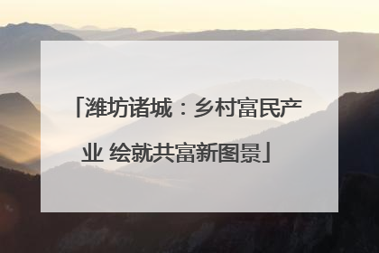 潍坊诸城：乡村富民产业 绘就共富新图景