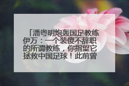 潘粤明炮轰国足教练伊万：一个装傻不辞职的所谓教练，你指望它拯救中国足球！此前曾多次发文评价国足