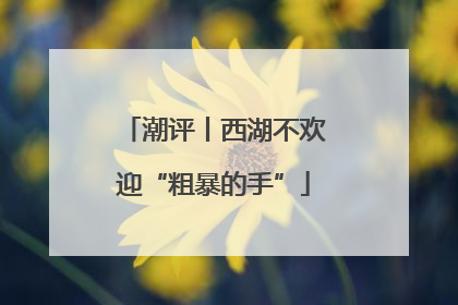 潮评丨西湖不欢迎“粗暴的手”