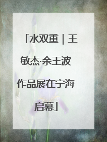 水双重｜王敏杰·余王波作品展在宁海启幕