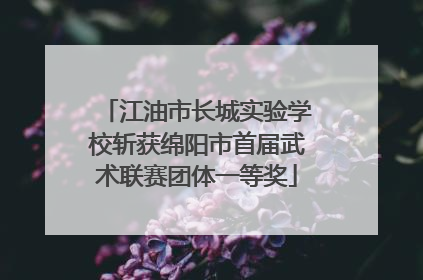 江油市长城实验学校斩获绵阳市首届武术联赛团体一等奖