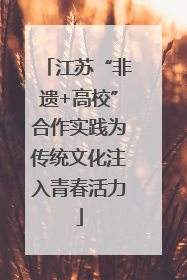 江苏“非遗+高校”合作实践为传统文化注入青春活力