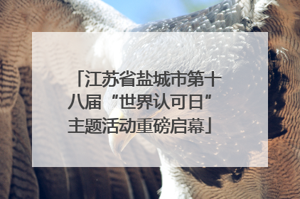江苏省盐城市第十八届“世界认可日”主题活动重磅启幕