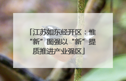 江苏如东经开区：惟“新”图强以“新”提质推进产业强区