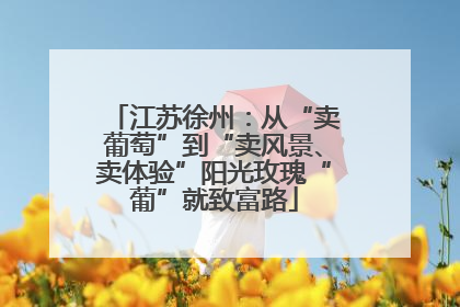 江苏徐州：从“卖葡萄”到“卖风景、卖体验”阳光玫瑰“葡”就致富路