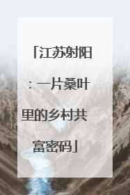 江苏射阳：一片桑叶里的乡村共富密码