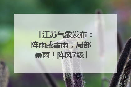 江苏气象发布：阵雨或雷雨，局部暴雨！阵风7级