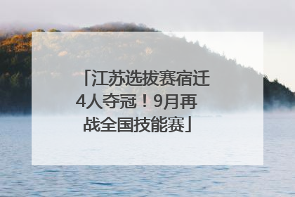 江苏选拔赛宿迁4人夺冠！9月再战全国技能赛