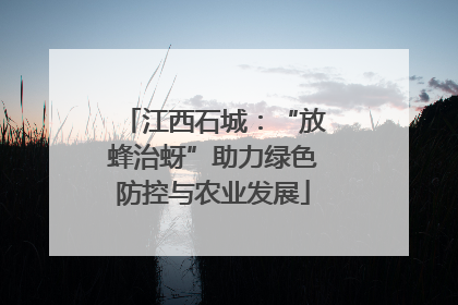 江西石城：“放蜂治蚜”助力绿色防控与农业发展