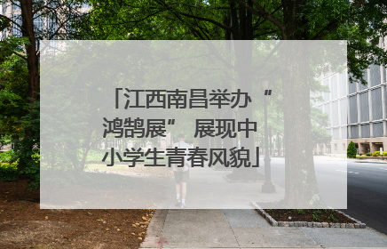 江西南昌举办“鸿鹄展” 展现中小学生青春风貌
