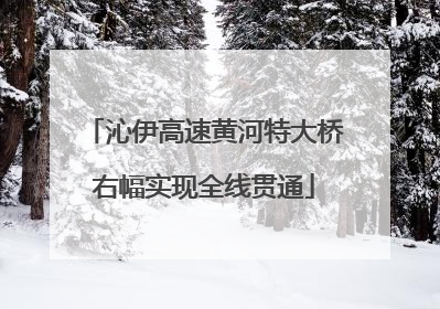 沁伊高速黄河特大桥右幅实现全线贯通