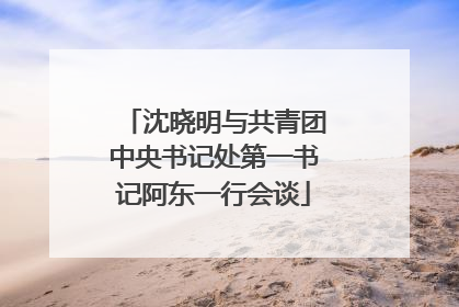 沈晓明与共青团中央书记处第一书记阿东一行会谈