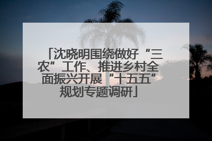 沈晓明围绕做好“三农”工作、推进乡村全面振兴开展“十五五”规划专题调研