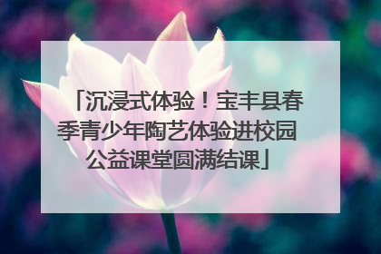 沉浸式体验！宝丰县春季青少年陶艺体验进校园公益课堂圆满结课