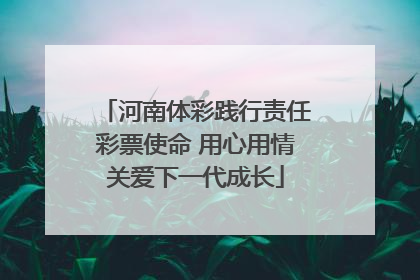 河南体彩践行责任彩票使命 用心用情关爱下一代成长