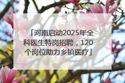 河南启动2025年全科医生特岗招聘，120个岗位助力乡镇医疗