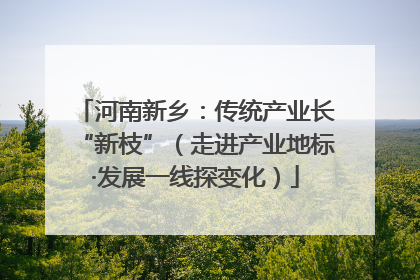 河南新乡：传统产业长“新枝”（走进产业地标·发展一线探变化）