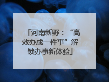 河南新野：“高效办成一件事”解锁办事新体验