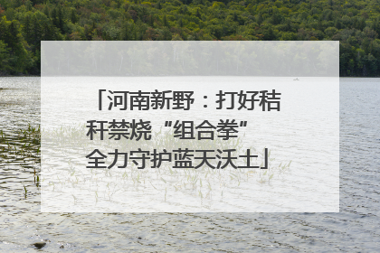 河南新野：打好秸秆禁烧“组合拳” 全力守护蓝天沃土