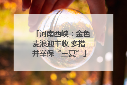 河南西峡：金色麦浪迎丰收 多措并举保“三夏”