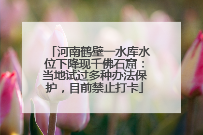 河南鹤壁一水库水位下降现千佛石窟：当地试过多种办法保护，目前禁止打卡