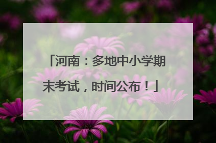 河南：多地中小学期末考试，时间公布！