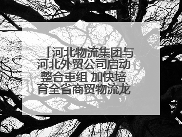河北物流集团与河北外贸公司启动整合重组 加快培育全省商贸物流龙头企业