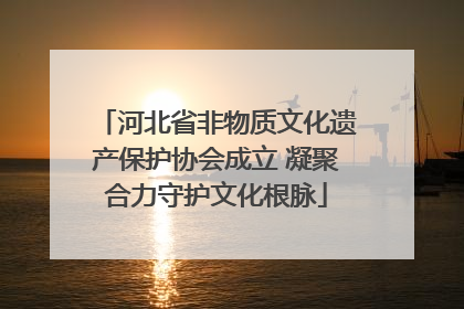 河北省非物质文化遗产保护协会成立 凝聚合力守护文化根脉