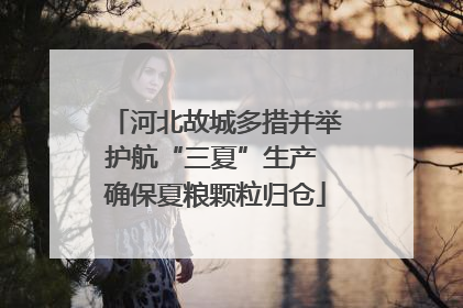 河北故城多措并举护航“三夏”生产 确保夏粮颗粒归仓