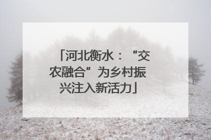 河北衡水：“交农融合”为乡村振兴注入新活力