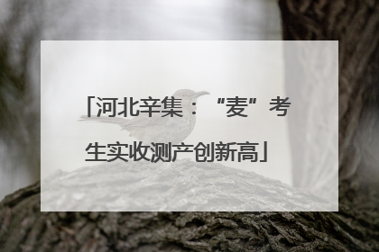 河北辛集：“麦”考生实收测产创新高